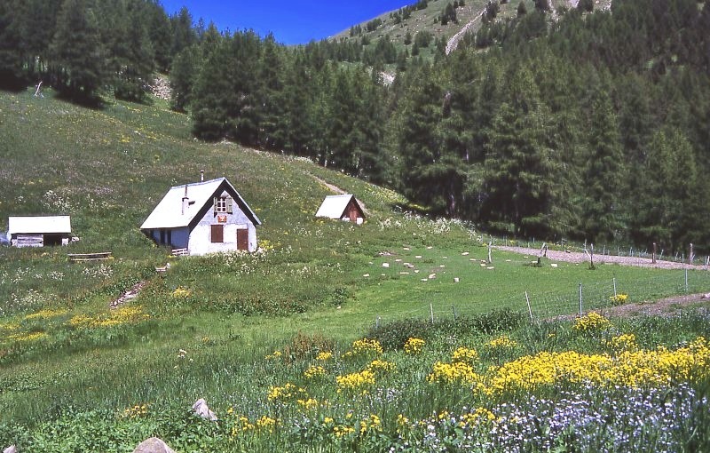 Alpine mercantour park