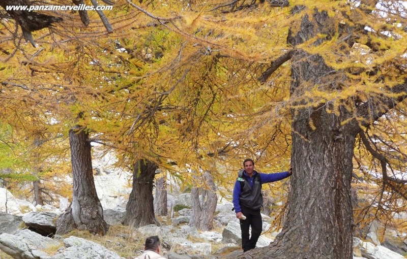 guide randonnée mercantour