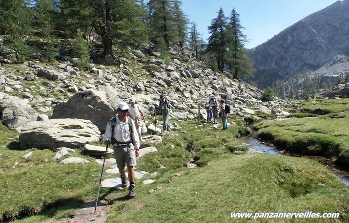 tourbiere mercantour