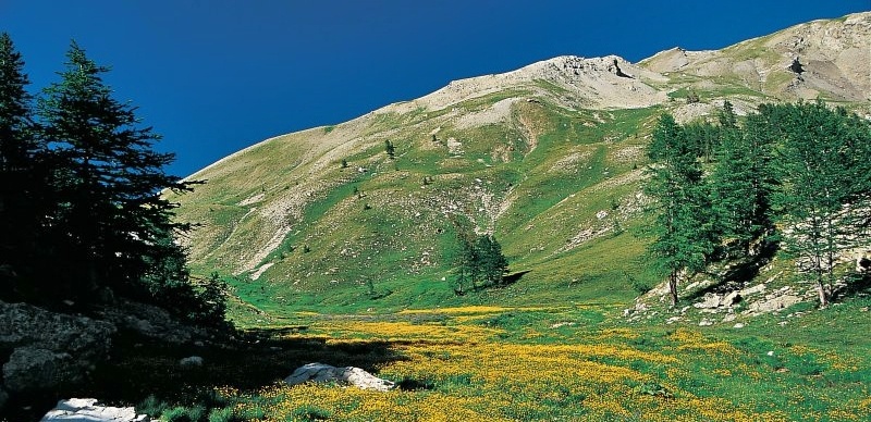 walking parc mercantour