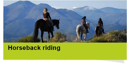 horse trekking breil sur roya