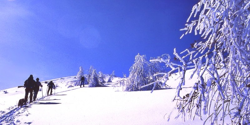 snowshoeing vallée des merveilles
