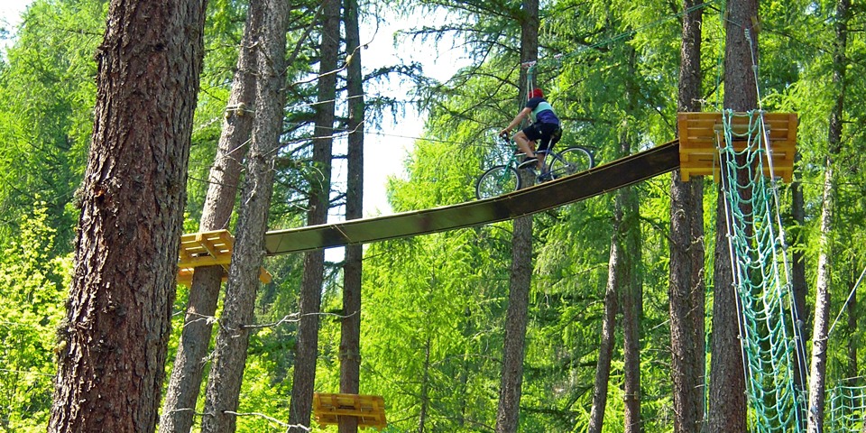 tree climbing casterino