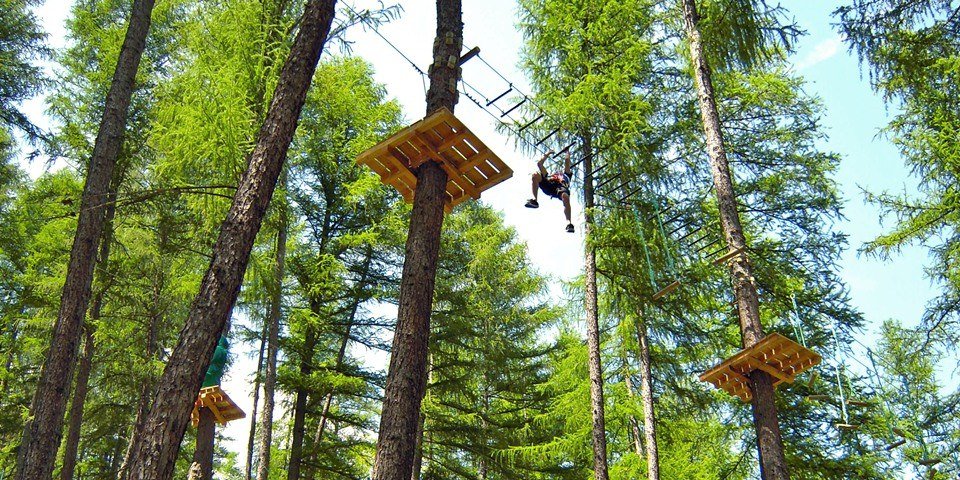 tree climbing acco des merveilles