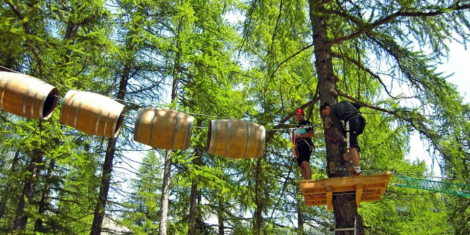 tree climbing casterino