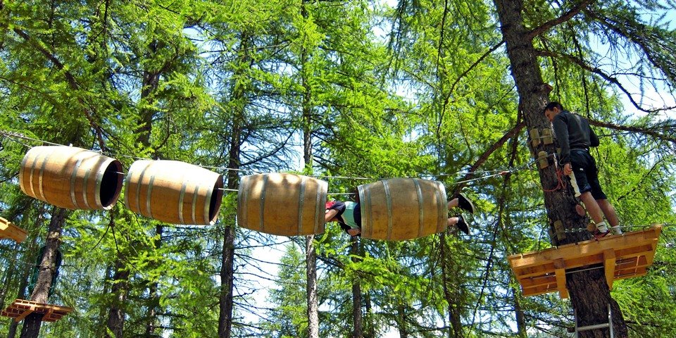 tree climbing haute roya