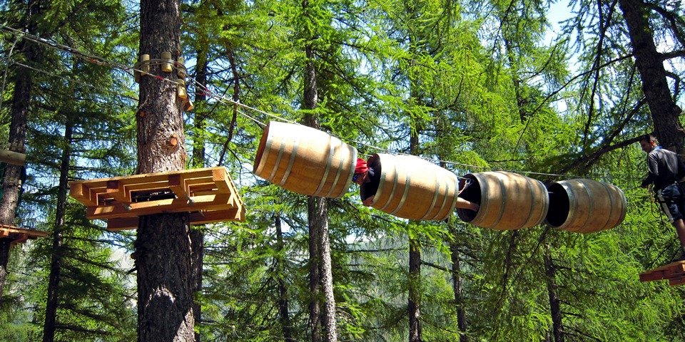 tree climbing haute vallee de la roya